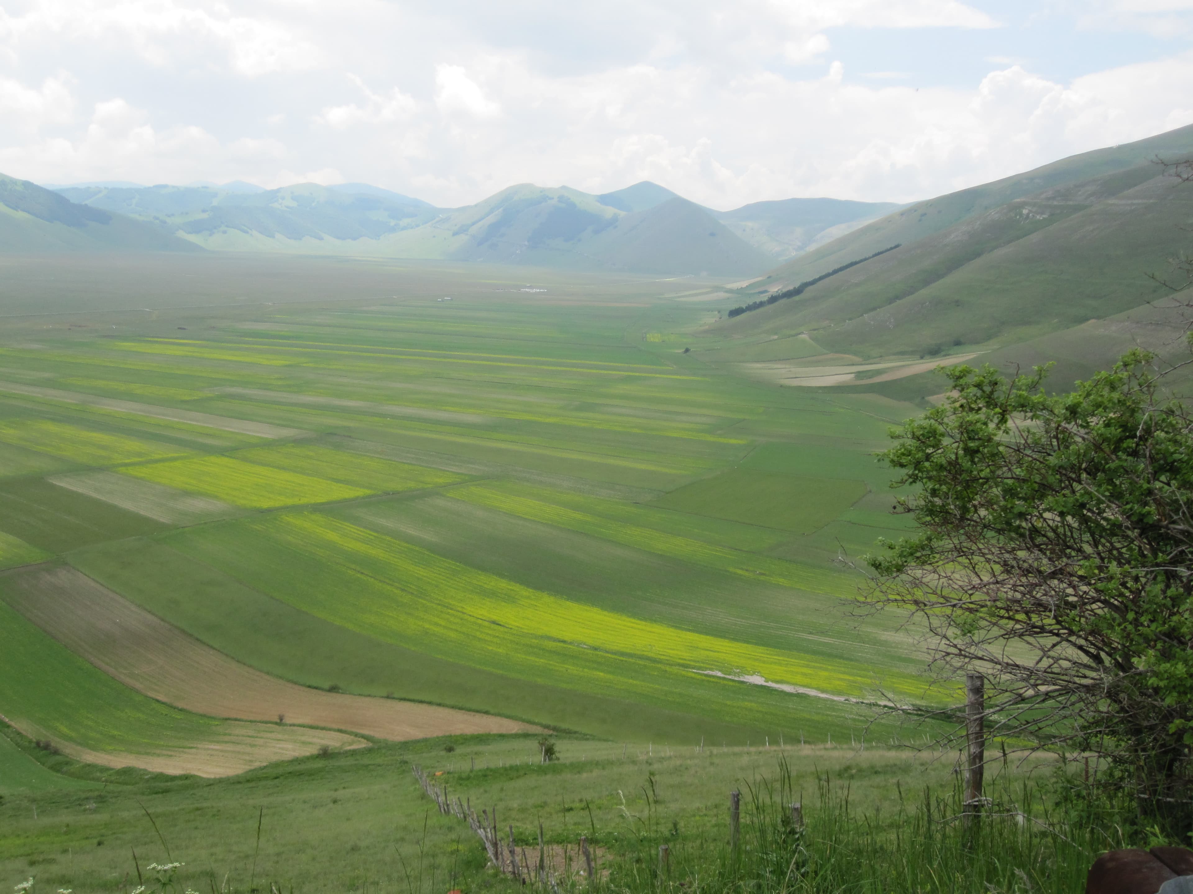 Viaggio in bicicletta