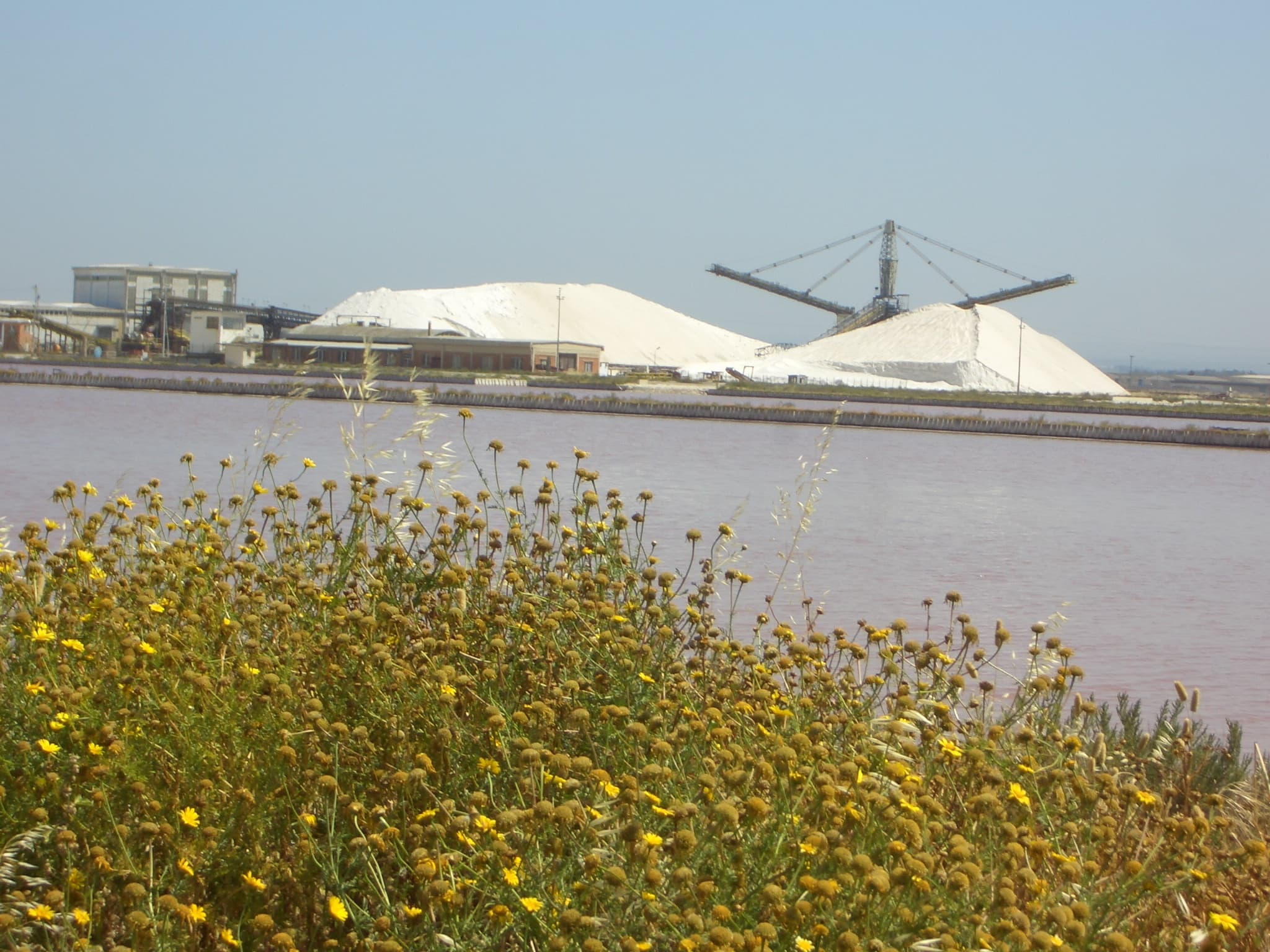 Viaggio in bicicletta in Italia 2008